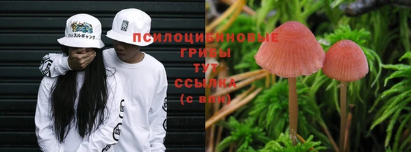 прущие крисы Волосово
