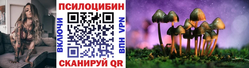 KRAKEN как зайти  Людиново  Псилоцибиновые грибы Psilocybe  где можно купить  
